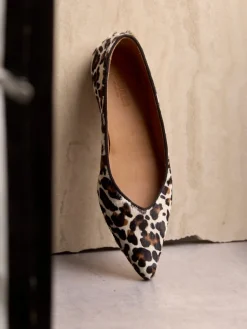 An1711-101 1711-101
