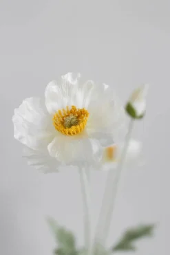 Artificial Cream Poppy 02-132
