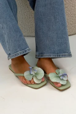 Blmorning Glory Sandals