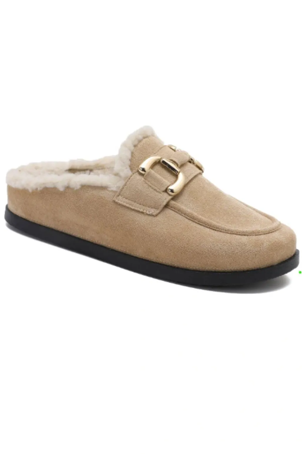 Blmyrtle Slipper