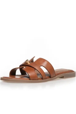 Cswomen'S World CS8463