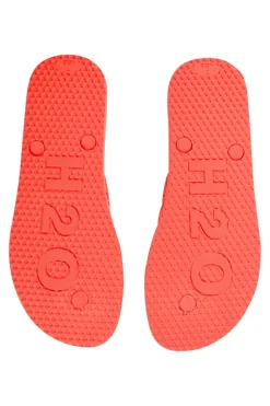 H2flip Flop
