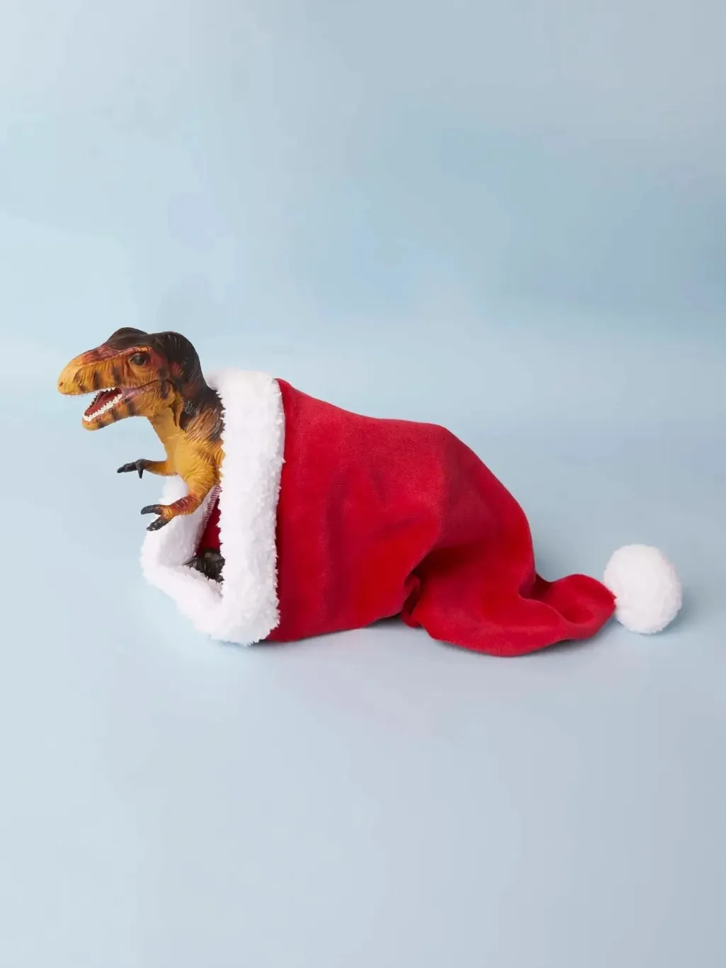Nmmristmas Hat