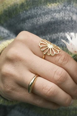 Pcglobe Ring