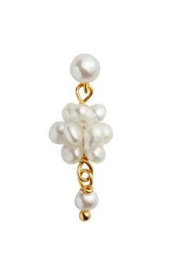 Stpetit Cluster Berries Earring