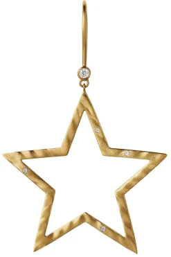 Stshining Star Earring